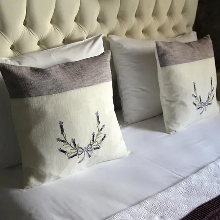 Yalicapkini 阿拉恰特